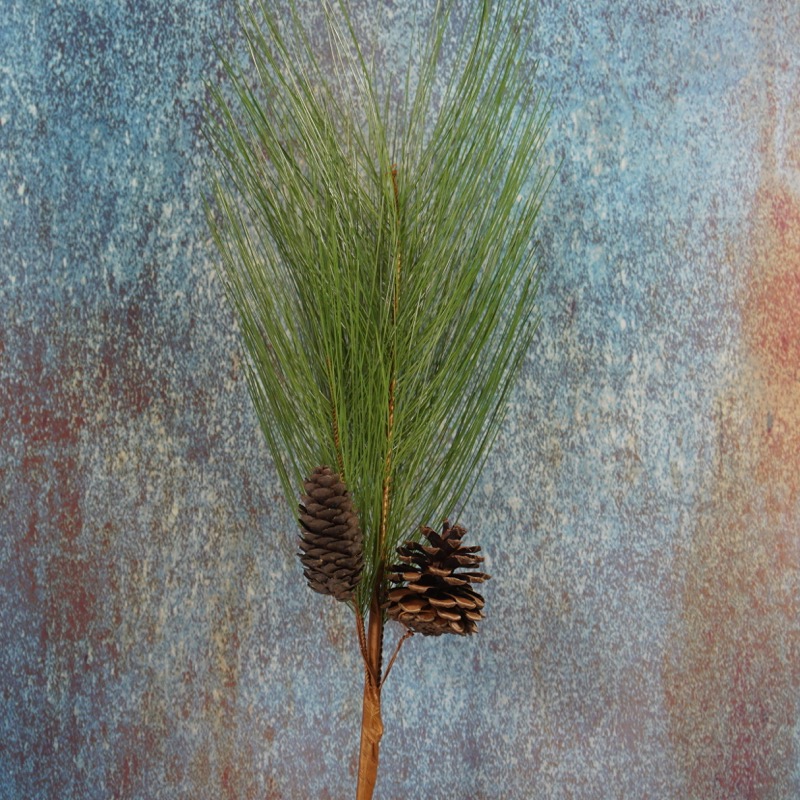 künstlicher Kiefernzweig mit Zapfen (62cm)