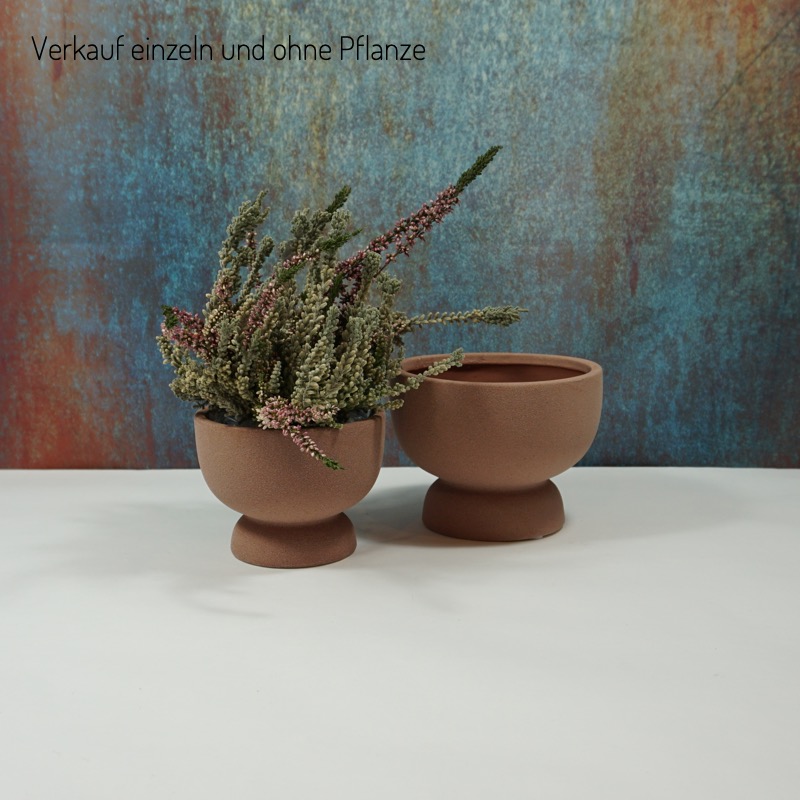 Schalenpokal -Saya- (Ø15cm)