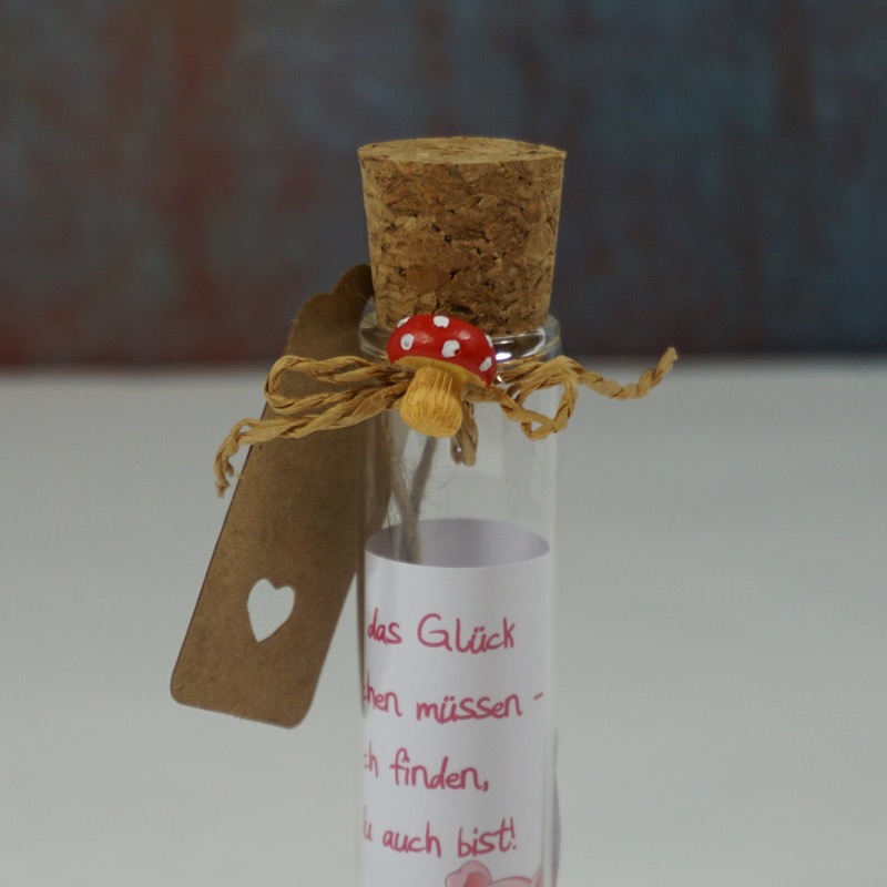 Reagenzglas für Geldgeschenke (Glück suchen)