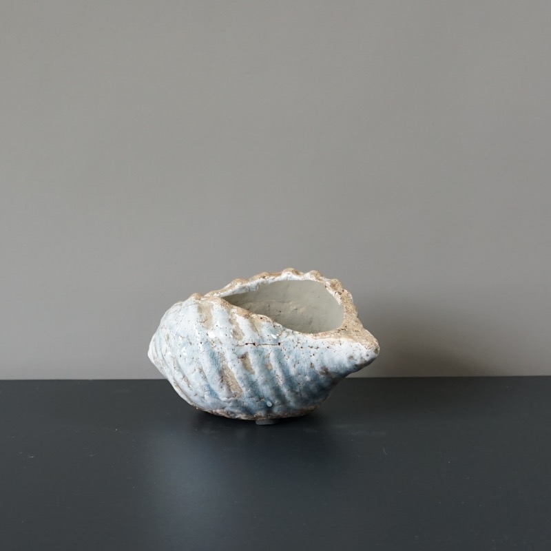 Muschel -Marcia- (S)