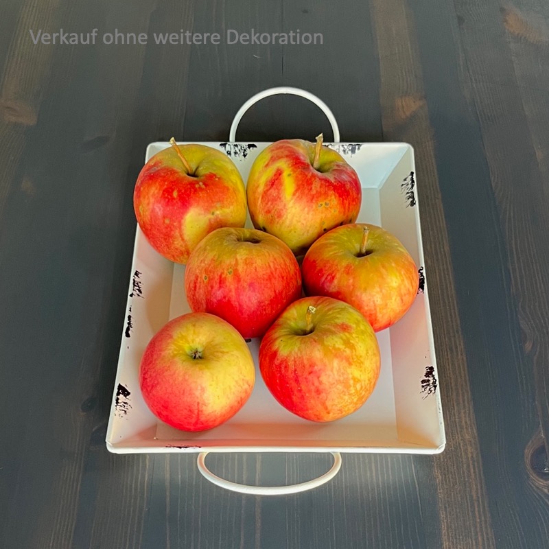 Tablett-Viola-