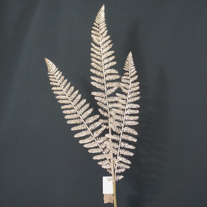 champagnerfarbener Farnwedel (73cm)