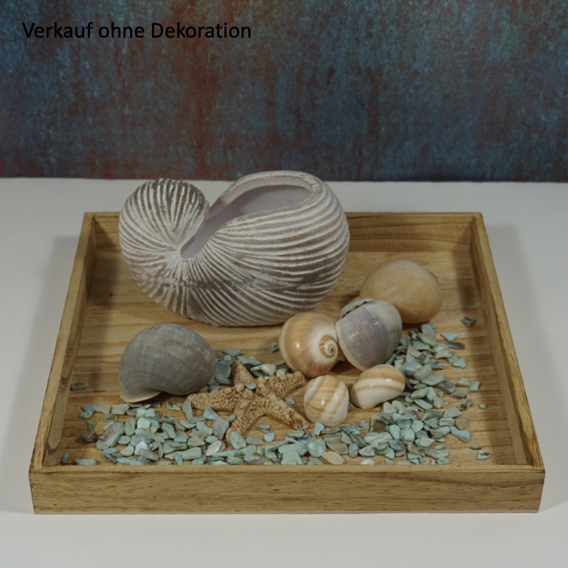 maritime Dekomuschel zum Bepflanzen