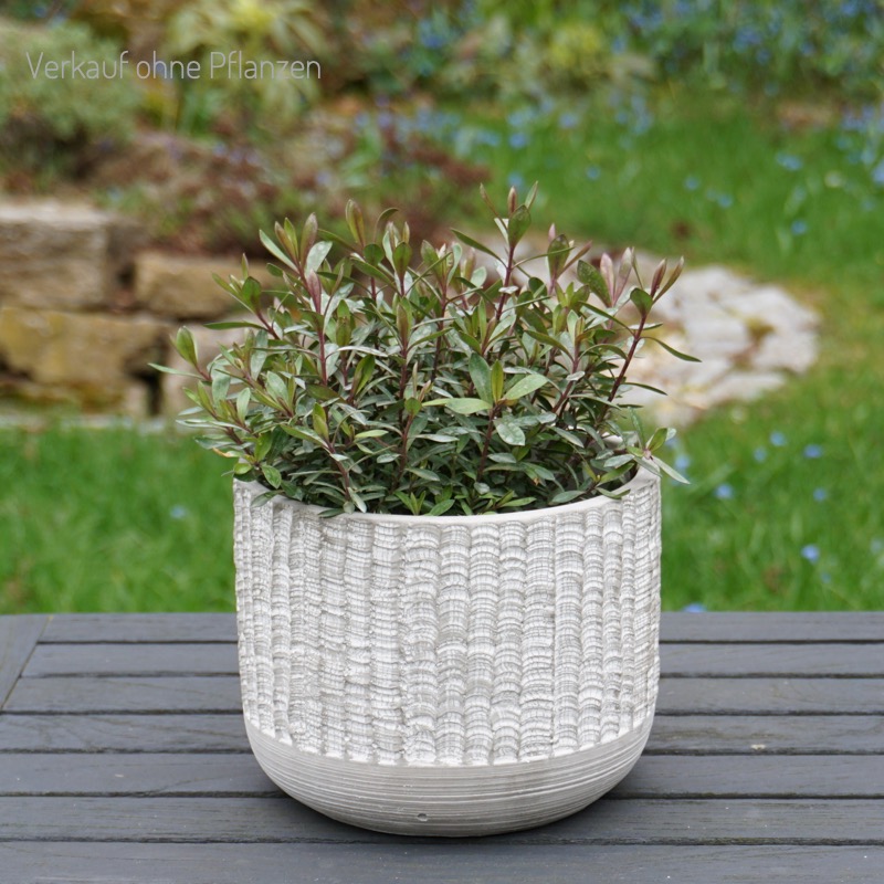 grau-weißer Zementtopf (Ø16,5cm)