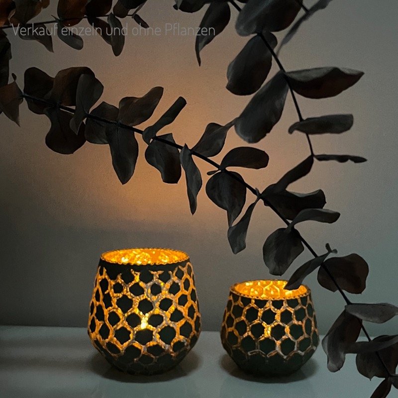 schönes Windlicht -Amaya- Salbei (10cm)