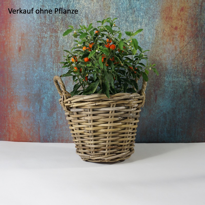 grauer Korb zum Bepflanzen (18cm)