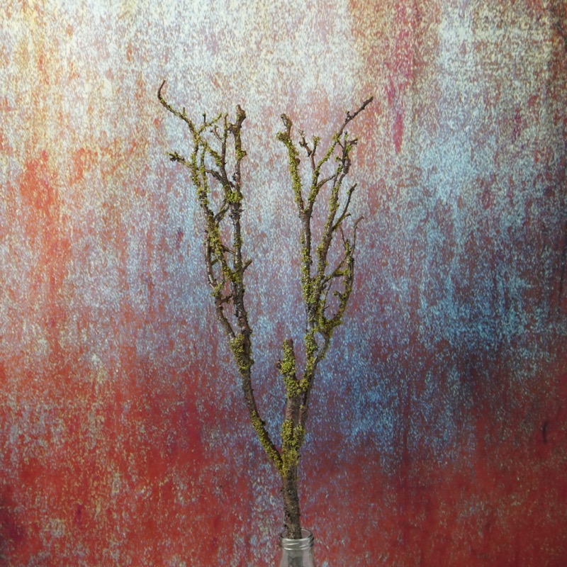 brauner Ast mit Moosoptik (71cm)