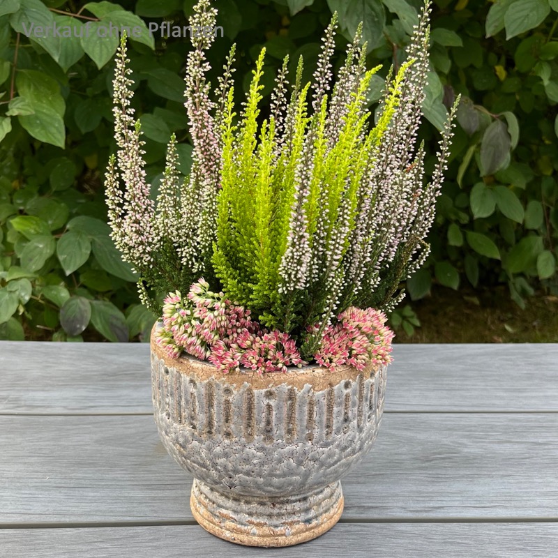 Blumentopf -Ivana- (17cm)