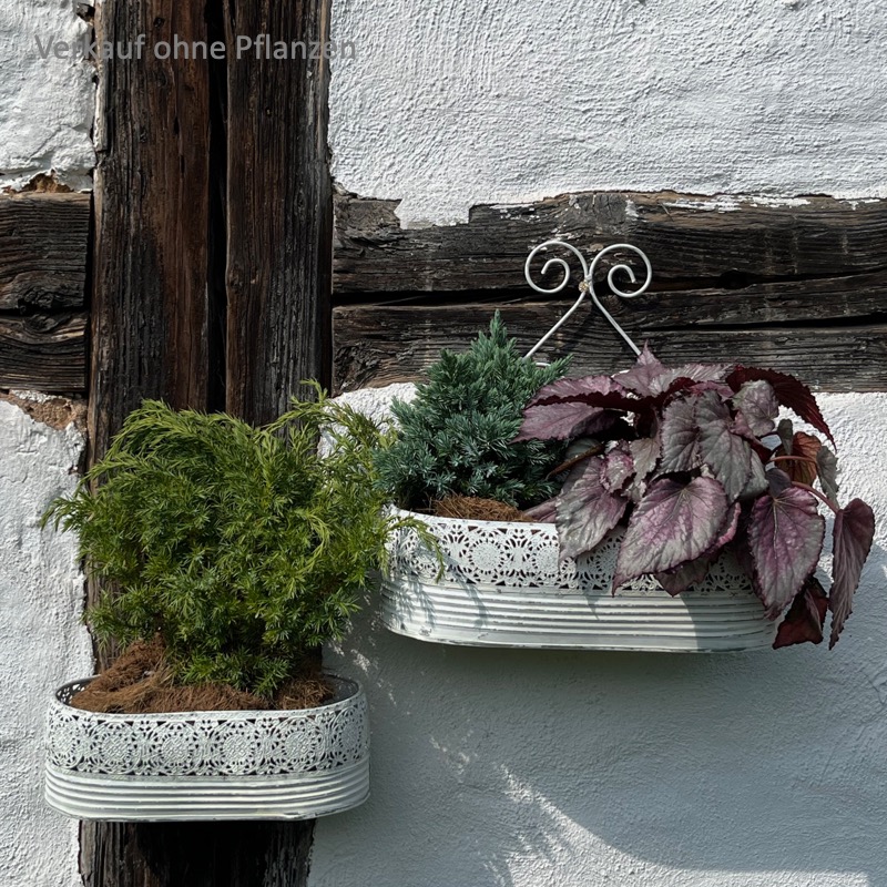 Wandtopf Set -Urbina-