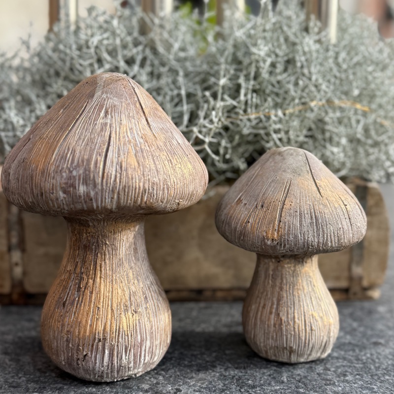 Deko-Pilze aus Beton