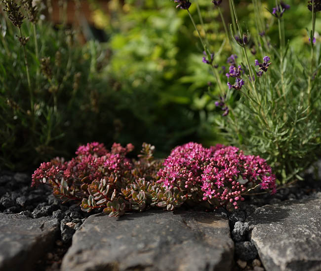Deko für Balkon & Garten