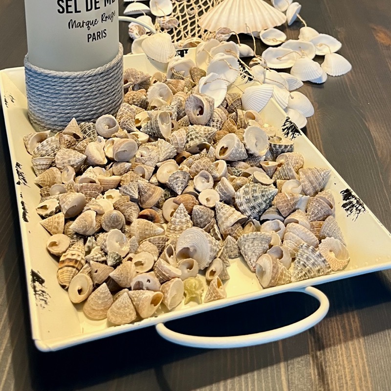 Muscheln zum Streuen im Beutel (1Kg)