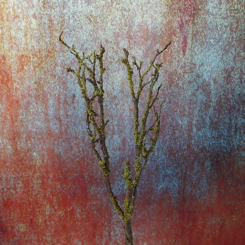 brauner Ast mit Moosoptik (71cm)
