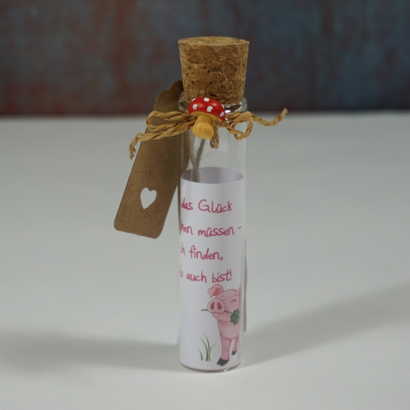 Reagenzglas für Geldgeschenke (Glück suchen)