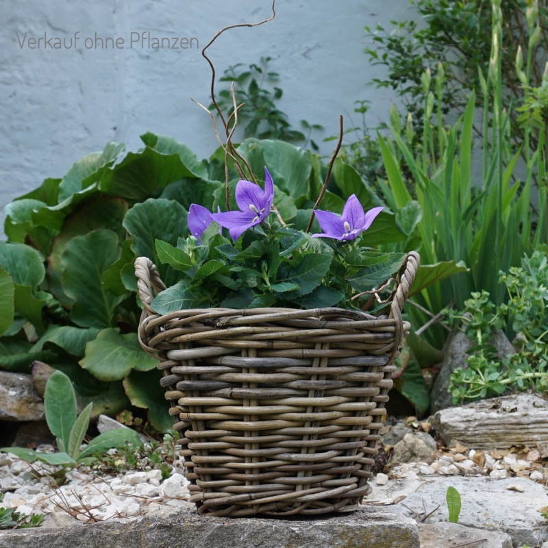 grauer Korb zum Bepflanzen (18cm)